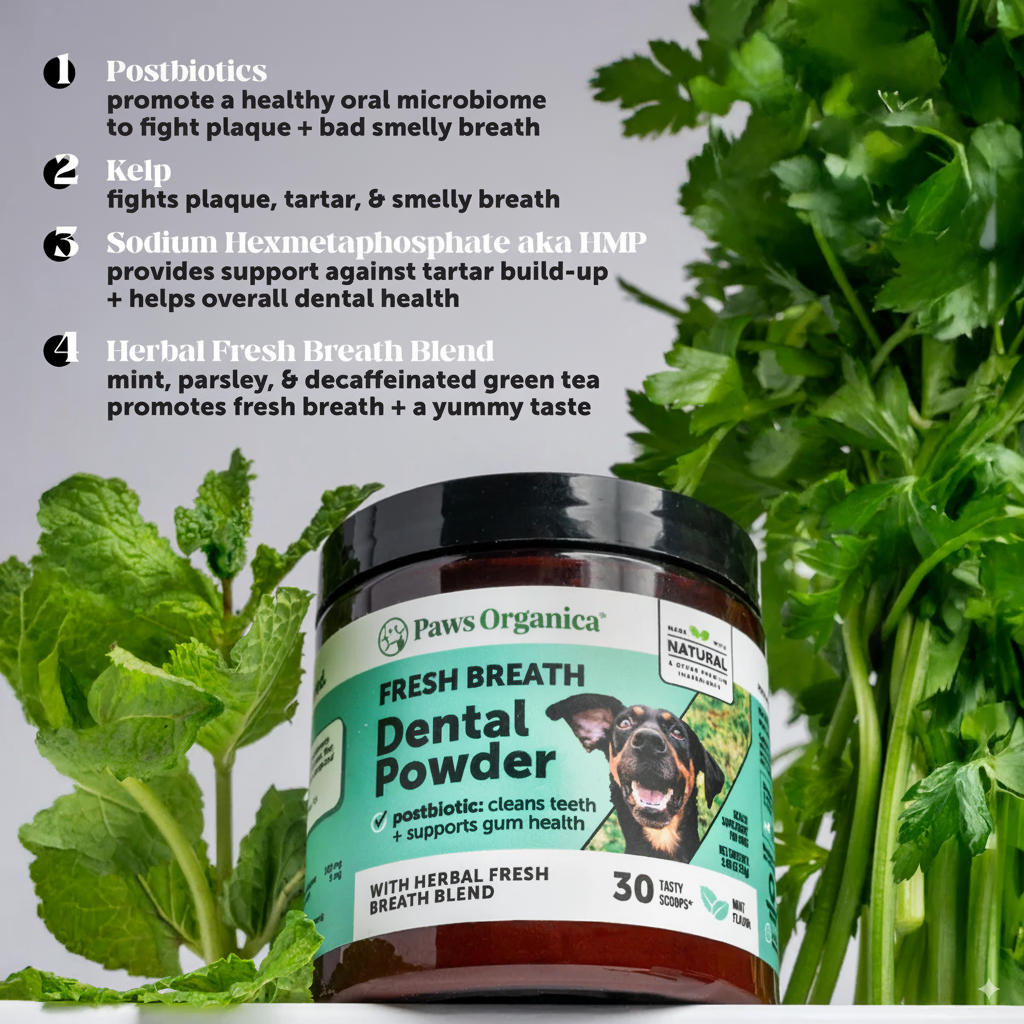 Vet-Recommended Dental Powder