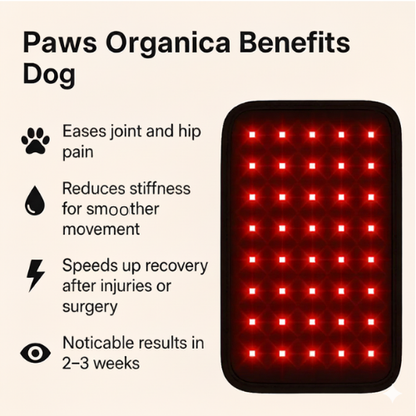 Vet-recommended Red Light Mat.