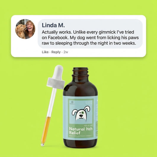 Vet-recommended Itch Relief Drops (New Formula)