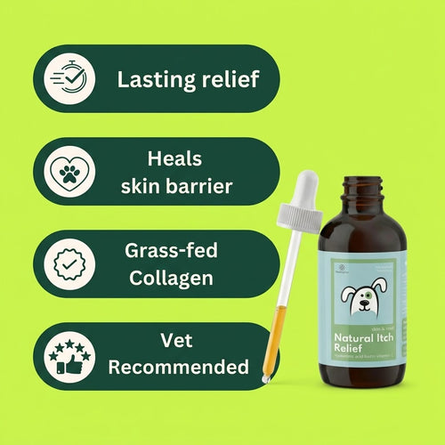 Vet-recommended Itch Relief Drops