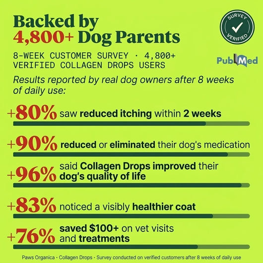Vet-recommended Itch Relief Drops (New Formula)