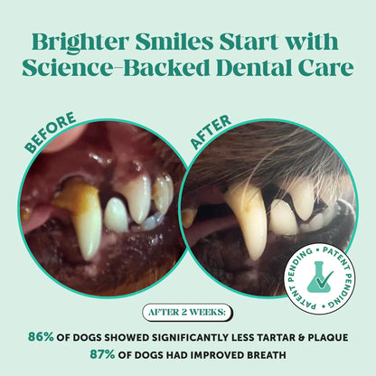 Vet-Recommended Dental Powder