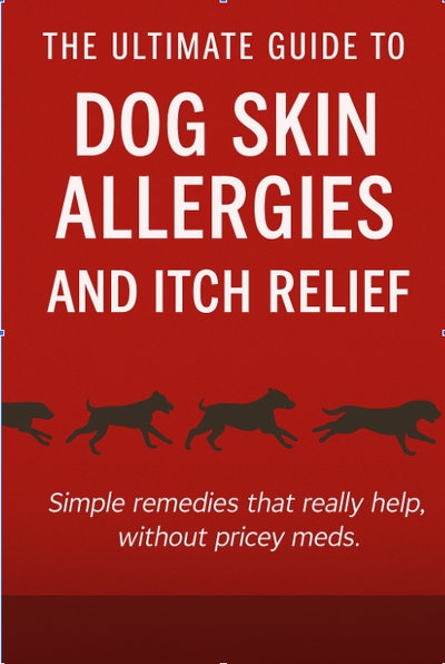 Ultimate Guide on Allergies & Itching
