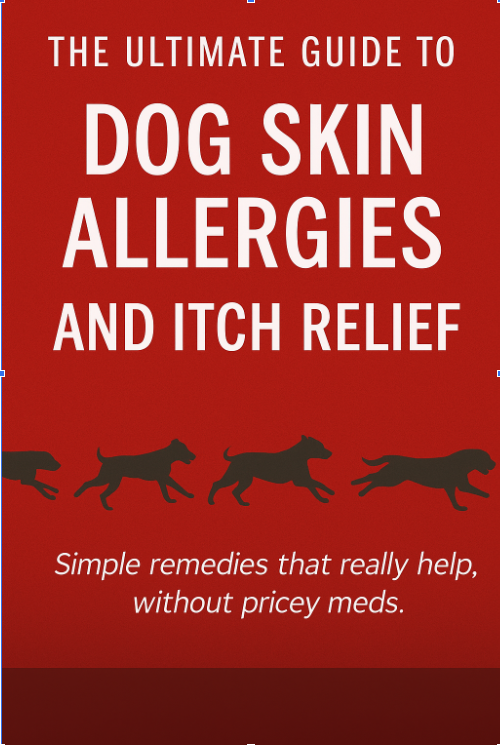 Ultimate Guide on Allergies & Itching