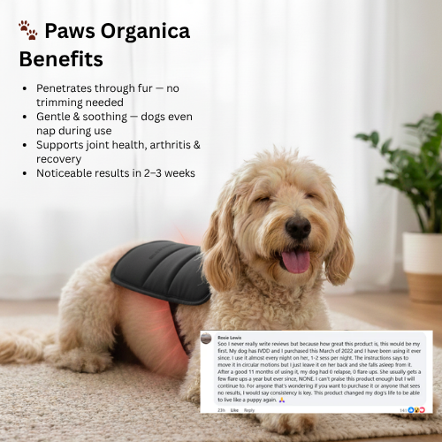 Vet-recommended Red Light Mat.