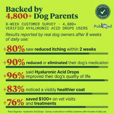 Vet-recommended Hyaluronic Acid Drops