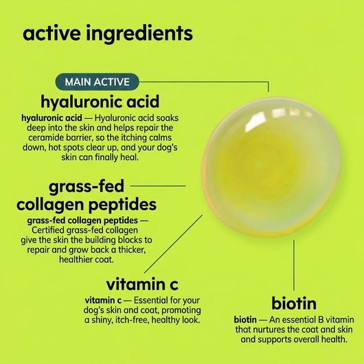 Vet-recommended Hyaluronic Acid Drops